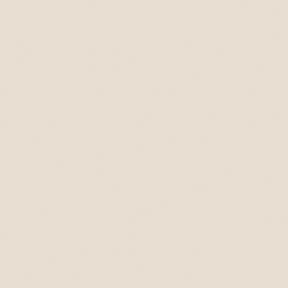Arctic Frog - Professional Beige 12x12 solid cardstock  (pack of 10)